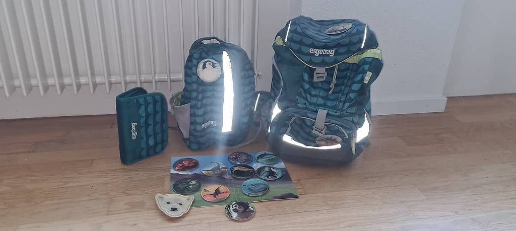 Ergobag Borse & Zaini: Ergobag Schulrucksack Set mit Zubehör – Usato da Zollikofen venduto da mar_z6cj