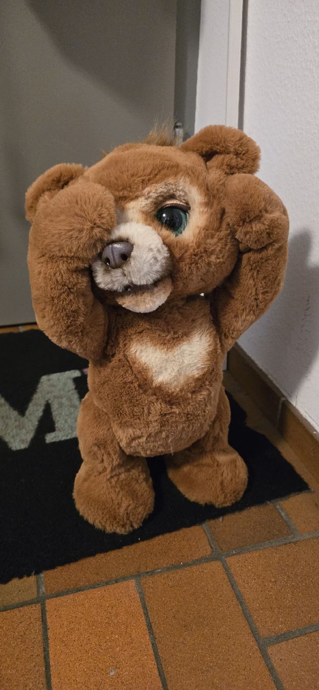 FurReal Spielzeuge: FurReal Cubby Bär – Gebraucht aus Basel von Nerea07