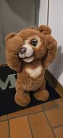 FurReal Cubby Bär