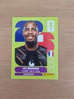 Panini Fifa FRA 2