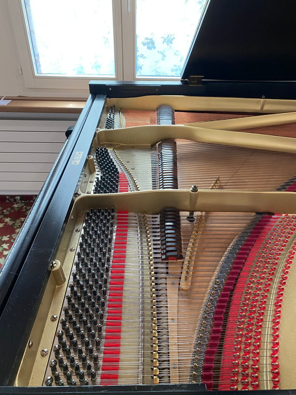 Blüthner Strumenti musicali: Blüthner Flügel mit Aliquot Patent – Usato da Ebnat-Kappel venduto da Lukas33 5