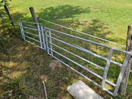 Gartentor Schwenktor Gatter