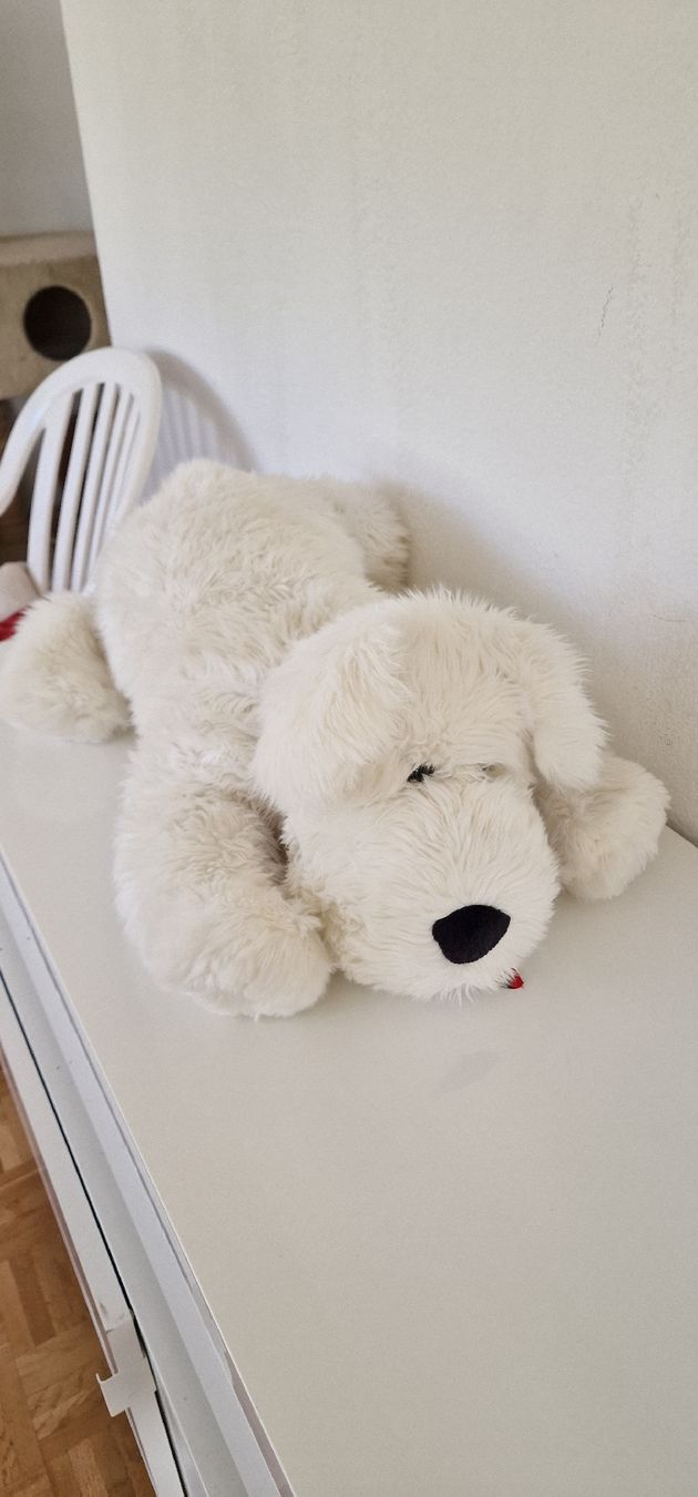 Bambole: Weicher Stoffhund – Usato da Zürich venduto da Abrar123