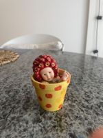 Sammelfigur: Anne Geddes