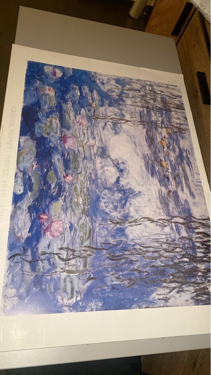 Foto & Immagini: Monet's Water Lilies Print – Usato da Dietikon venduto da Tdaf33