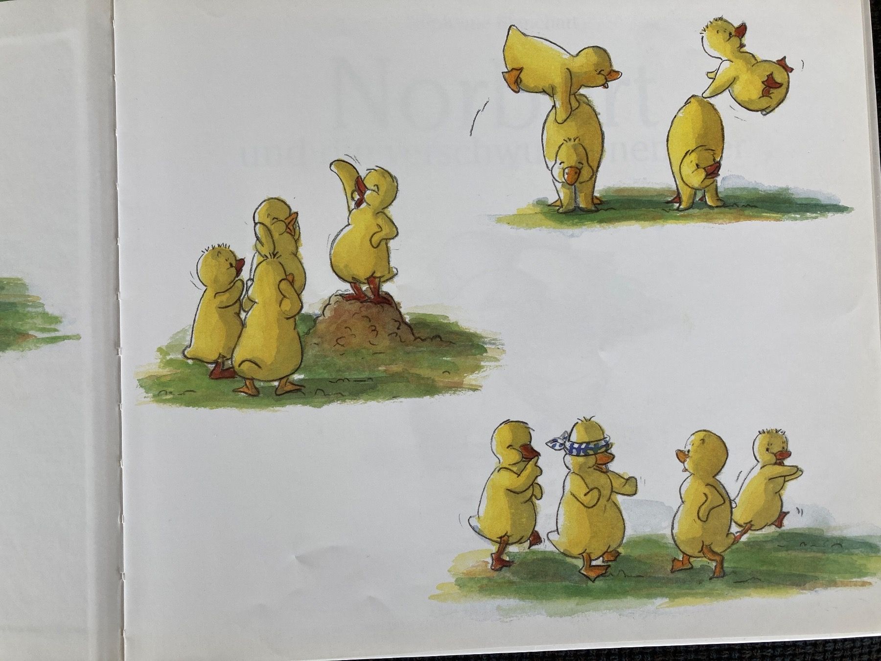 Bücher: Norbert und die verschwundenen Eier, Kinderbuch – Gebraucht aus Baden von Yoyo1 1