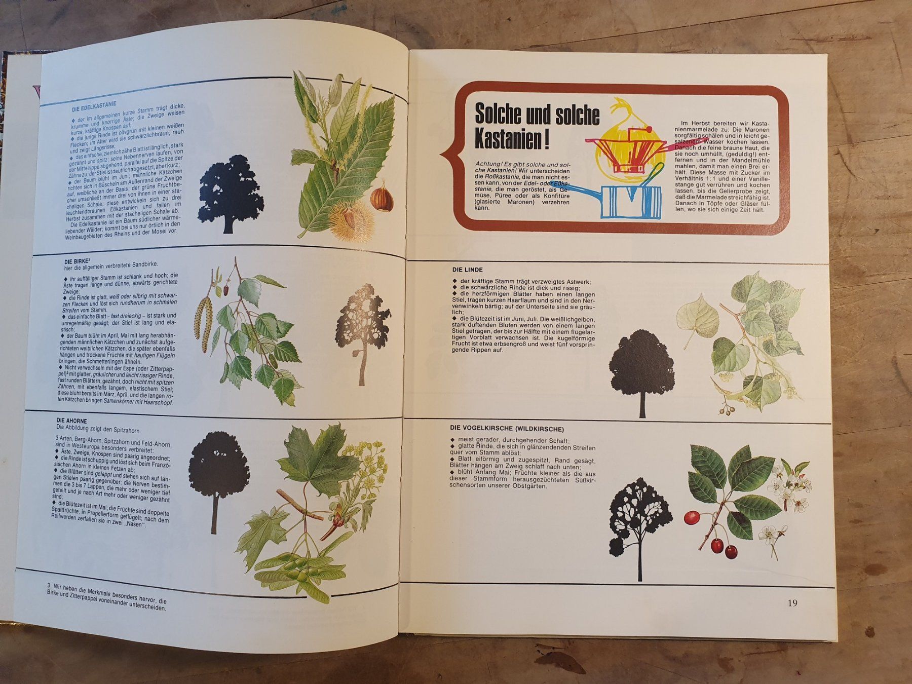 Libri: Der Wald lebt Solange Duflos Herder – Usato da Zürich venduto da loosebone 2