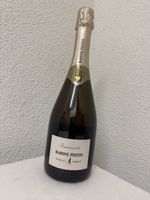 Barone Pizzini Franciacorta Golf 1927 Extra Brut