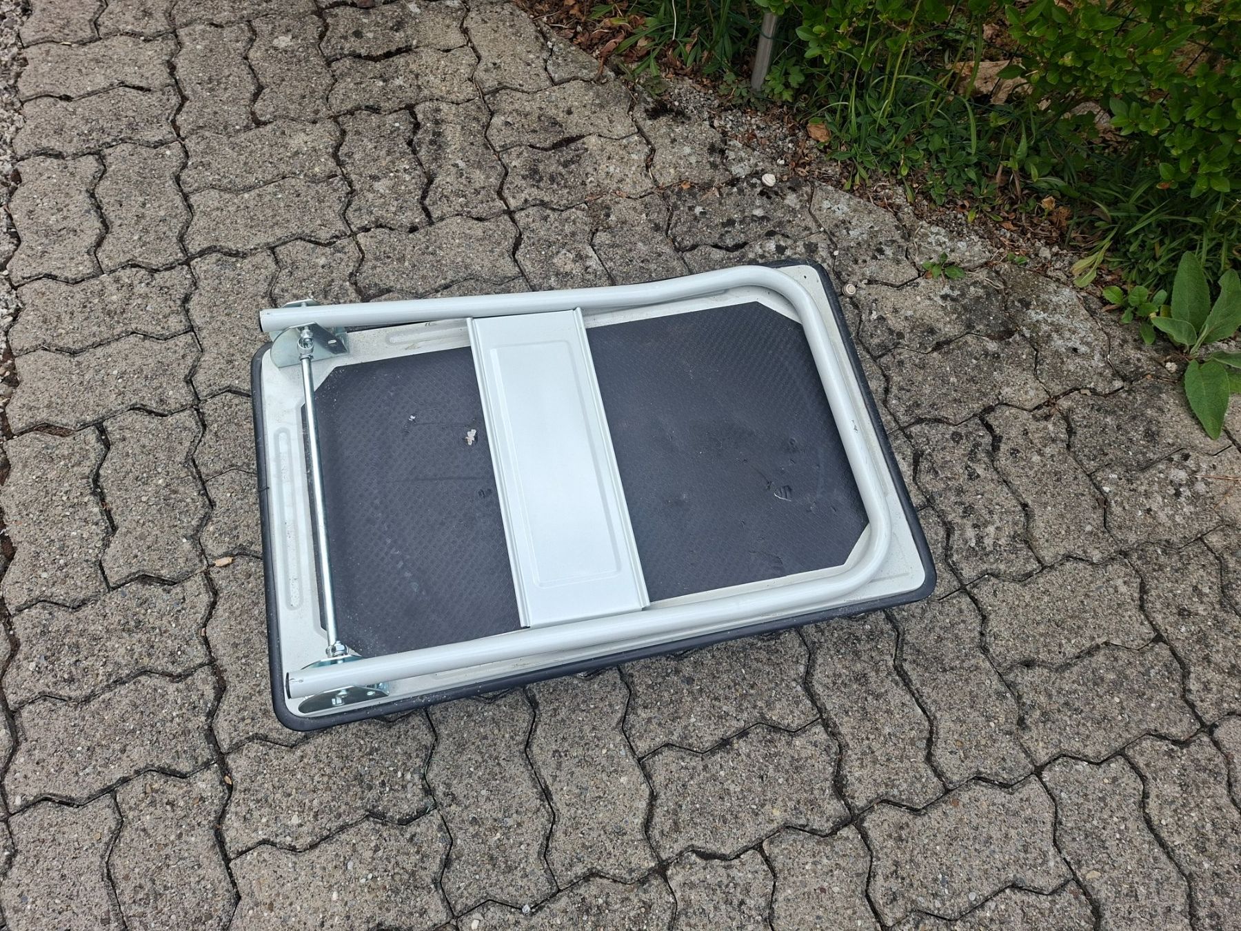 Transportwagen: Plattformwagen 150 kg – Gebraucht aus Uetendorf von jumaijumai 1
