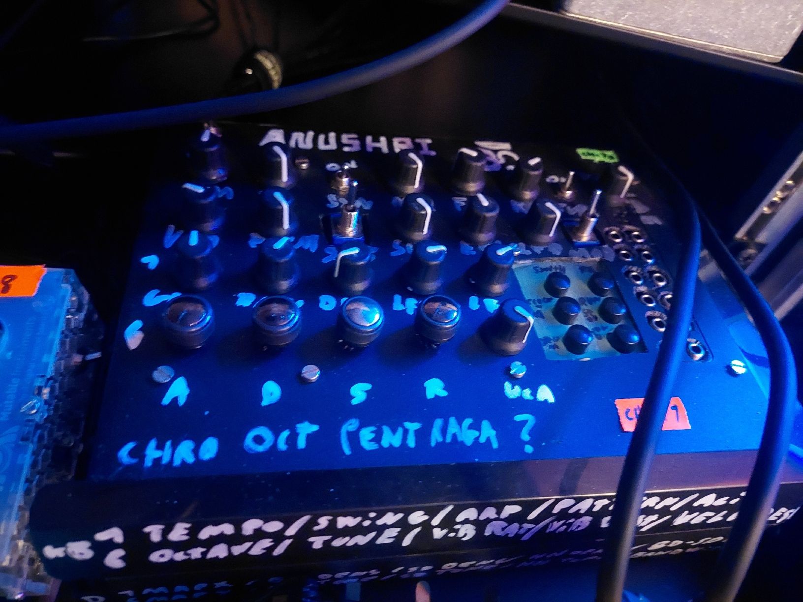 Strumenti musicali: Mutable Instrument Anushri with DIY box – Usato da Courtepin venduto da Organikal