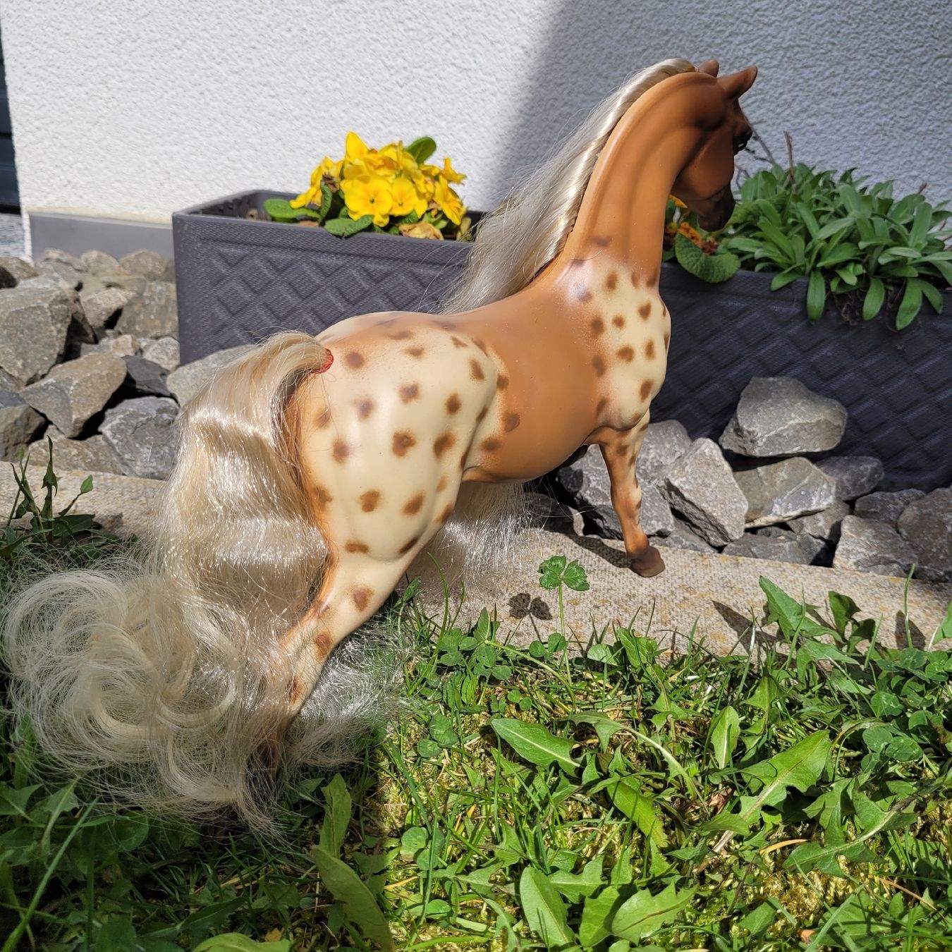 Giocattoli: Barbie Pferd Hengst Aslan Repaint Unikat – Usato da Niederbuchsiten venduto da klengyel 4