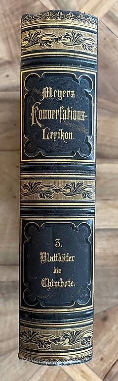 Libri: Meyers Konversationslexikon 1890 – Usato da Zollikon venduto da Tagisonne