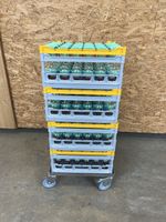 120 Apérogläser Schott/Zwiesel inkl Rack und Wagen