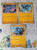 🇫🇷 Lot 3 cartes Riolu diverses séries FR