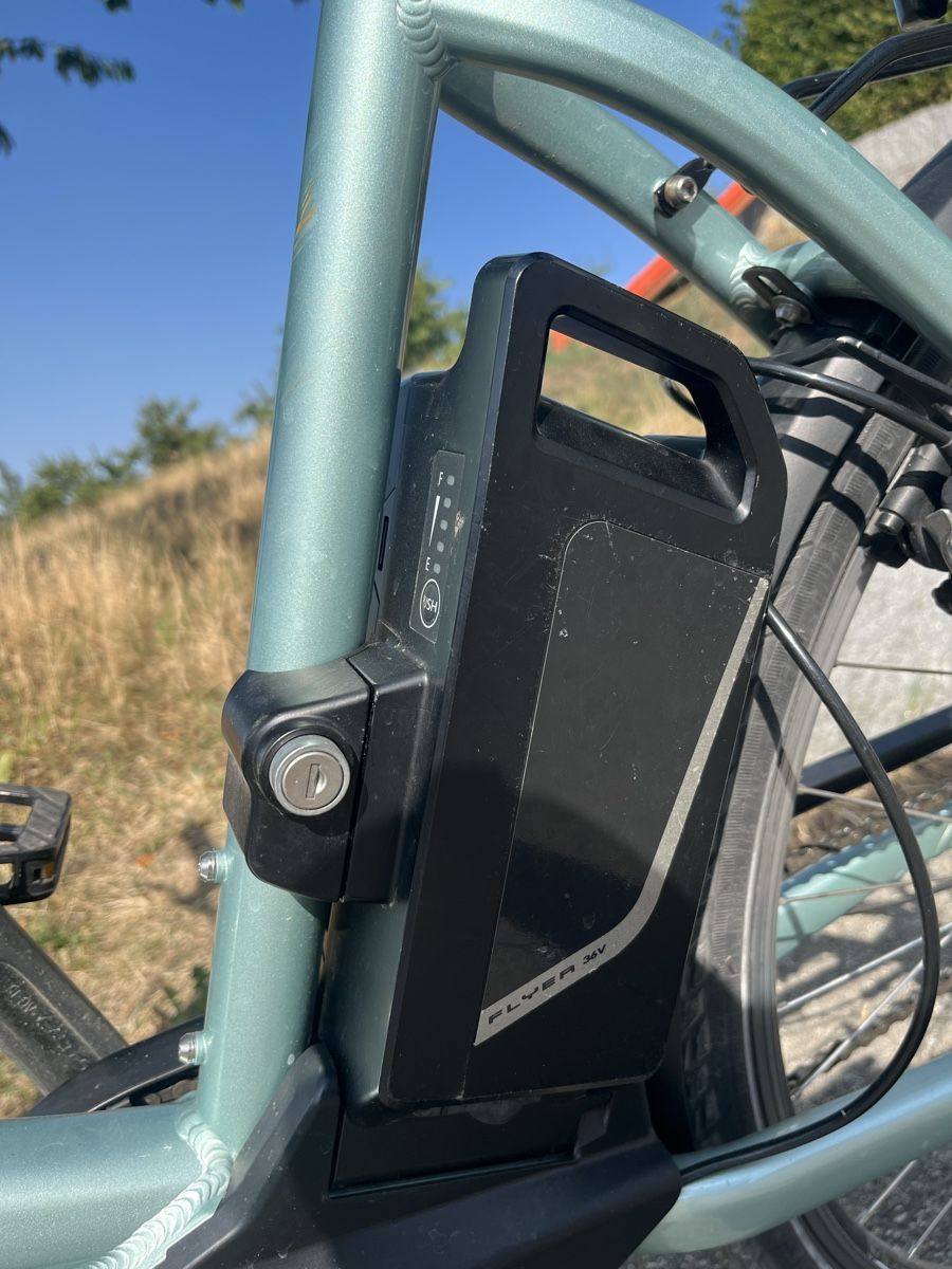 Flyer Biciclette: Flyer E-Bike T-Serie – Usato da Rüedisbach venduto da aeduu 2