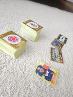 390 WM 2026 Paninis in sehr gutem Zustand!