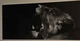 Löwenbild, Kunstdruck Schwarz/Weiss, Wanddekoration, Top!