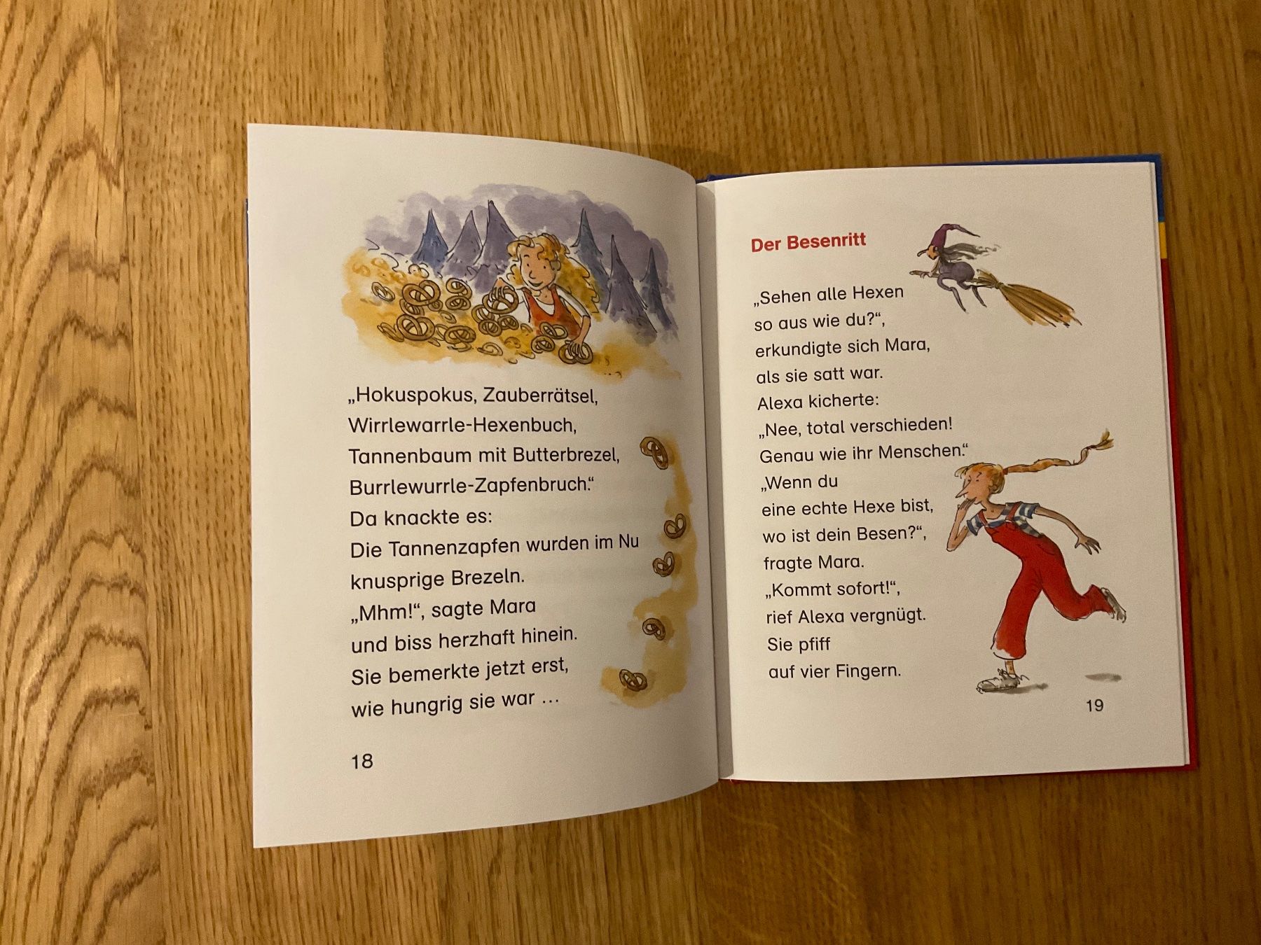 Libri: Die Hexenzwillinge Ursel Scheffler Das kunterbunte Nilpferd – Nuovo (secondo la descrizione) da Wetzikon ZH venduto da Gerbera5 2