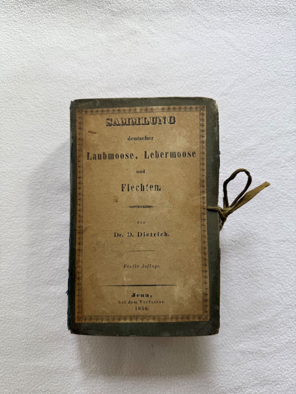Libri: Antikes Herbarium von 1856 – Usato da Bern venduto da xberg36