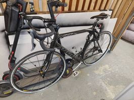 Stevens SCF2 Rennrad