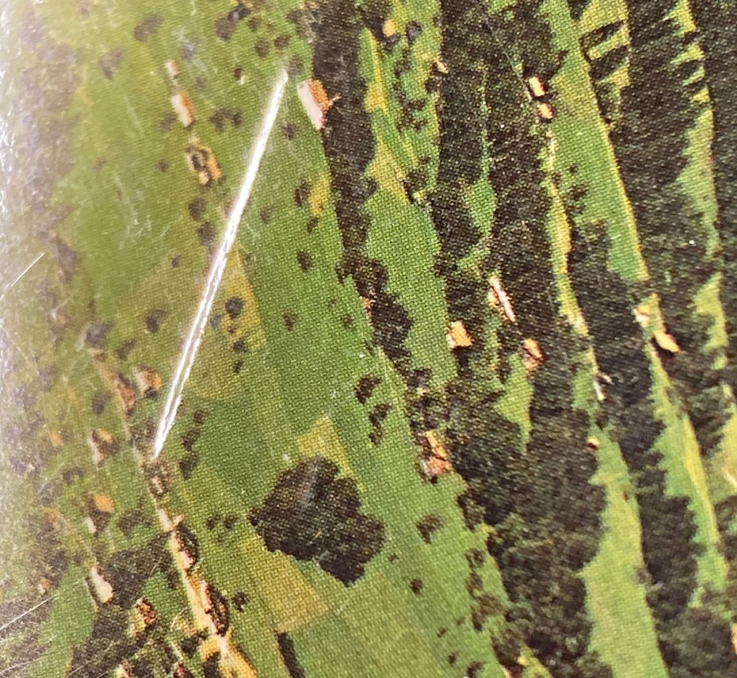 Cartoline postali: Sarnen, 1981, Pilatus – Usato da Lenzburg venduto da fh1 2