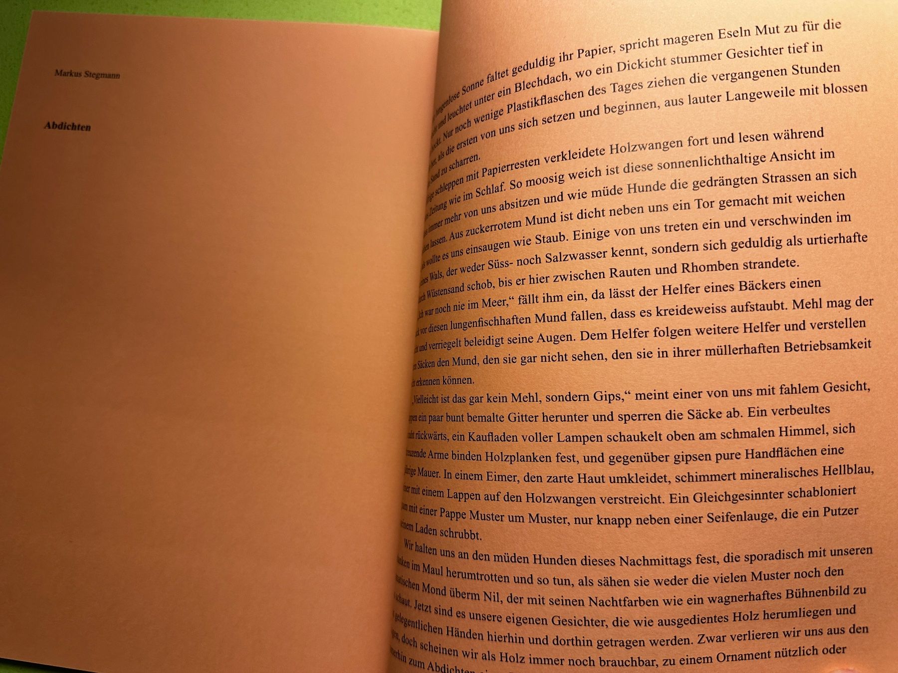 Libri: Chalet 5: Ornamental Angefressen – Usato da Zürich venduto da allp 8