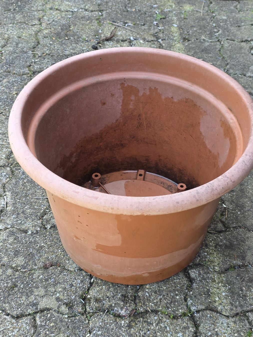 Vasi per fiori: Large Brown Plastic Plant Pot. – Usato da Hinwil venduto da Ehretstock8 1