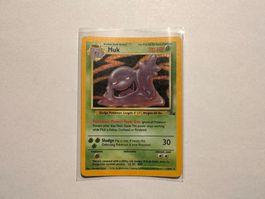Muk holo Fossil EN