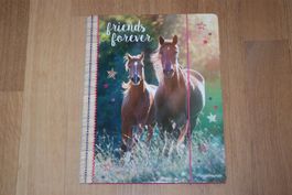 Sammelmappe Pferdefreunde, Spiegelburg
