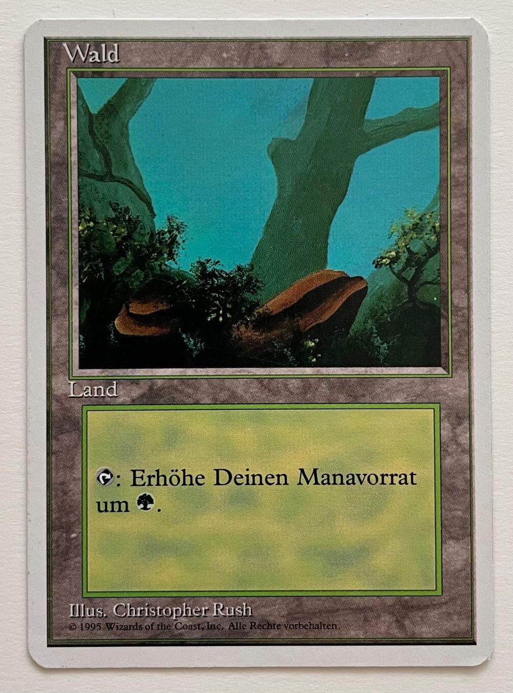 Karten: MTG - Wald – Gebraucht aus Zürich von T_H_O_M_A_S