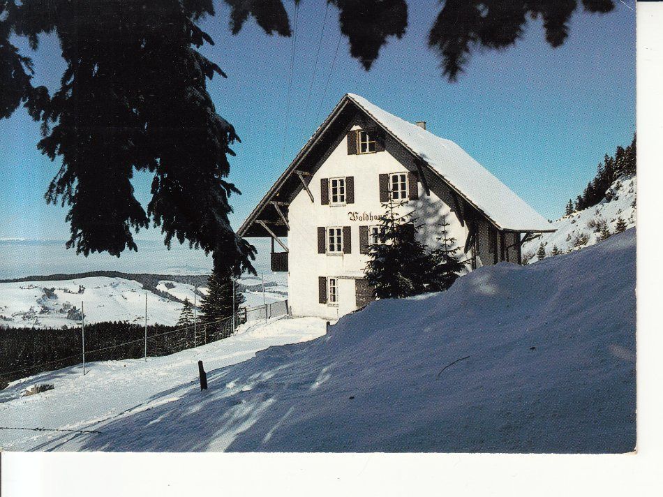 Cartoline postali: Riffenmatt Waldhaus ca. 1970 – Usato da Bürglen TG venduto da StampGraf