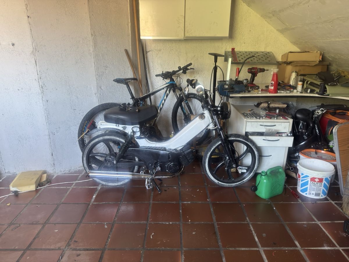 Tomos Cyclomoteurs: Mofa Tomos – D'occasion à Tenniken par nan_6w7n 2
