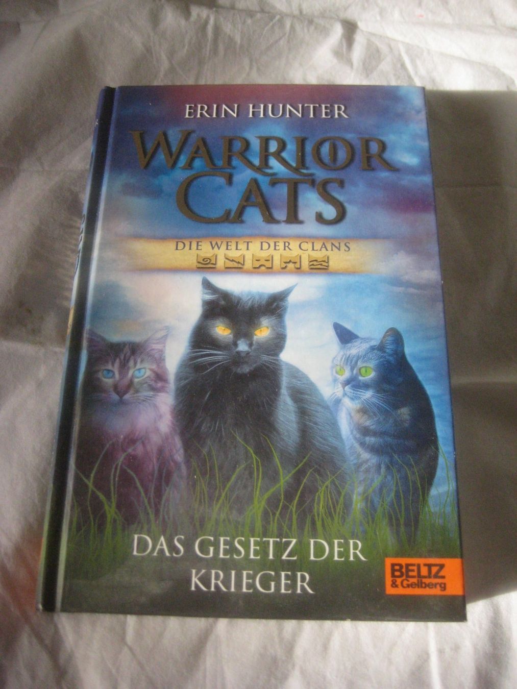 Libri: WARRIOR   CATS – Nuovo (secondo la descrizione) da Uster venduto da flocke1