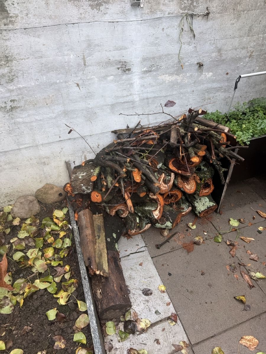 Articles en bois: Kaninholz – Neuf (Voir description) à Basel par roc_n7v6 1