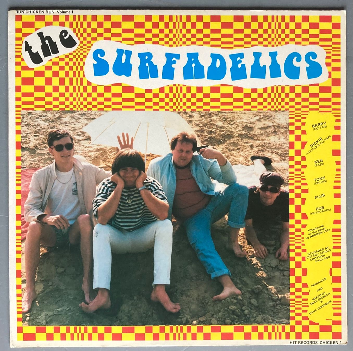 Dischi in vinile: THE CANNIBALS VS THE SURFADELICS - RUN, CHICKEN, RUN VOLUME – Usato da Poliez-Pittet venduto da Newtown-Records