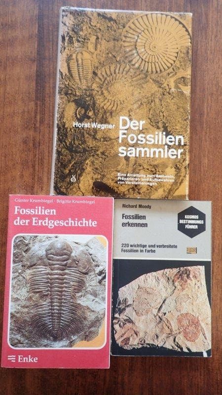 Bücher: Fossilien Bücher – Gebraucht aus Rickenbach BL von Oktober68