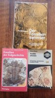 Fossilien Bücher