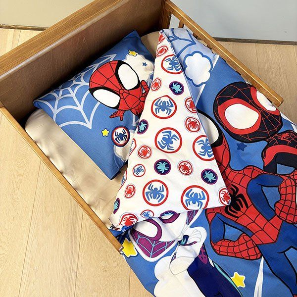 Coperte: Marvel Spidey Amazing Friends Spider-Man – Nuovo e nell'imballaggio originale da Löbau venduto da Krocoworld 1