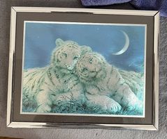 2 Tiger Bilder