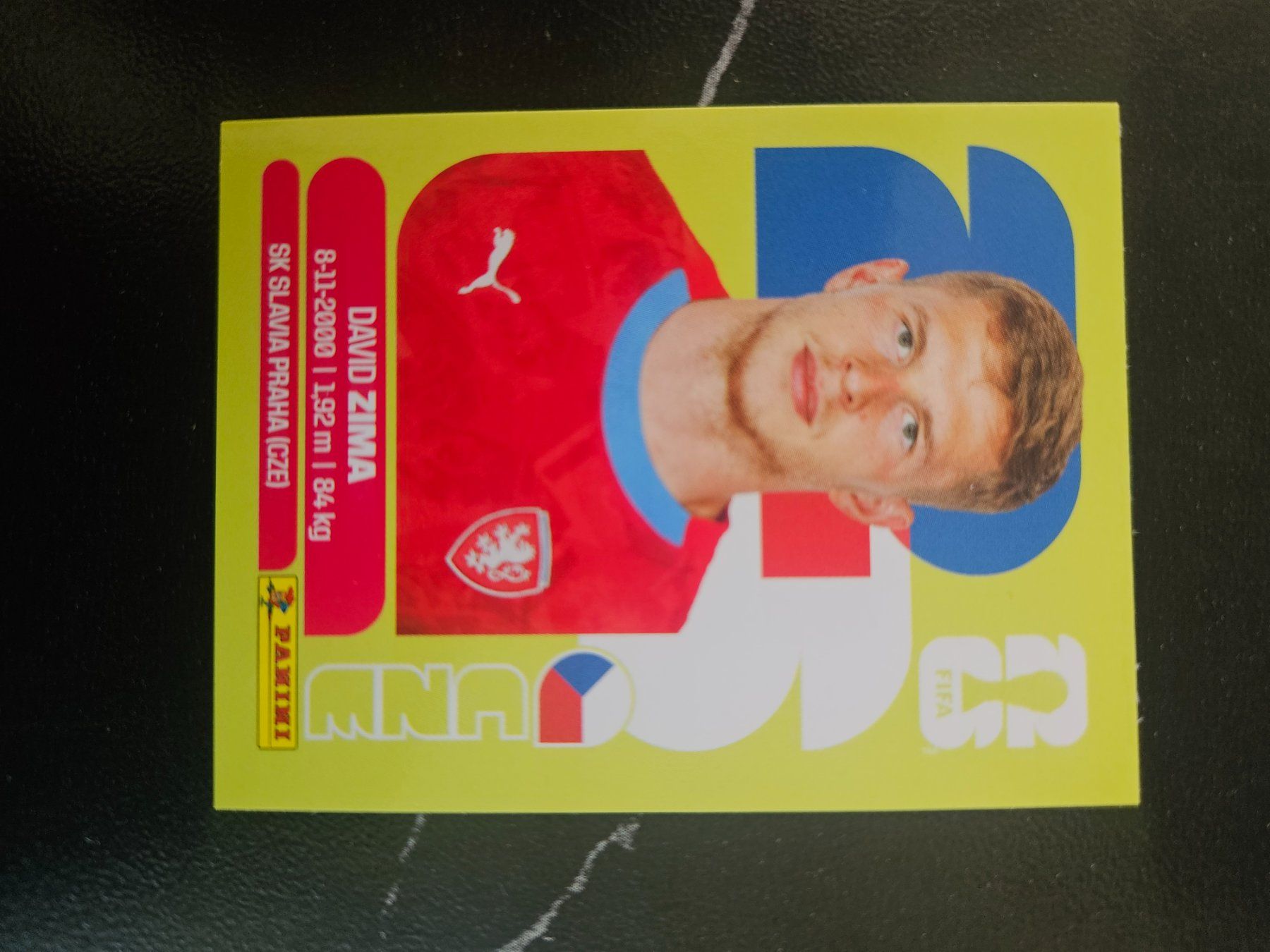 Panini Cartes à collectionner: CZE 8 – D'occasion à Würenlingen par Dinli