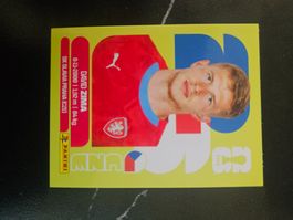 CZE 8