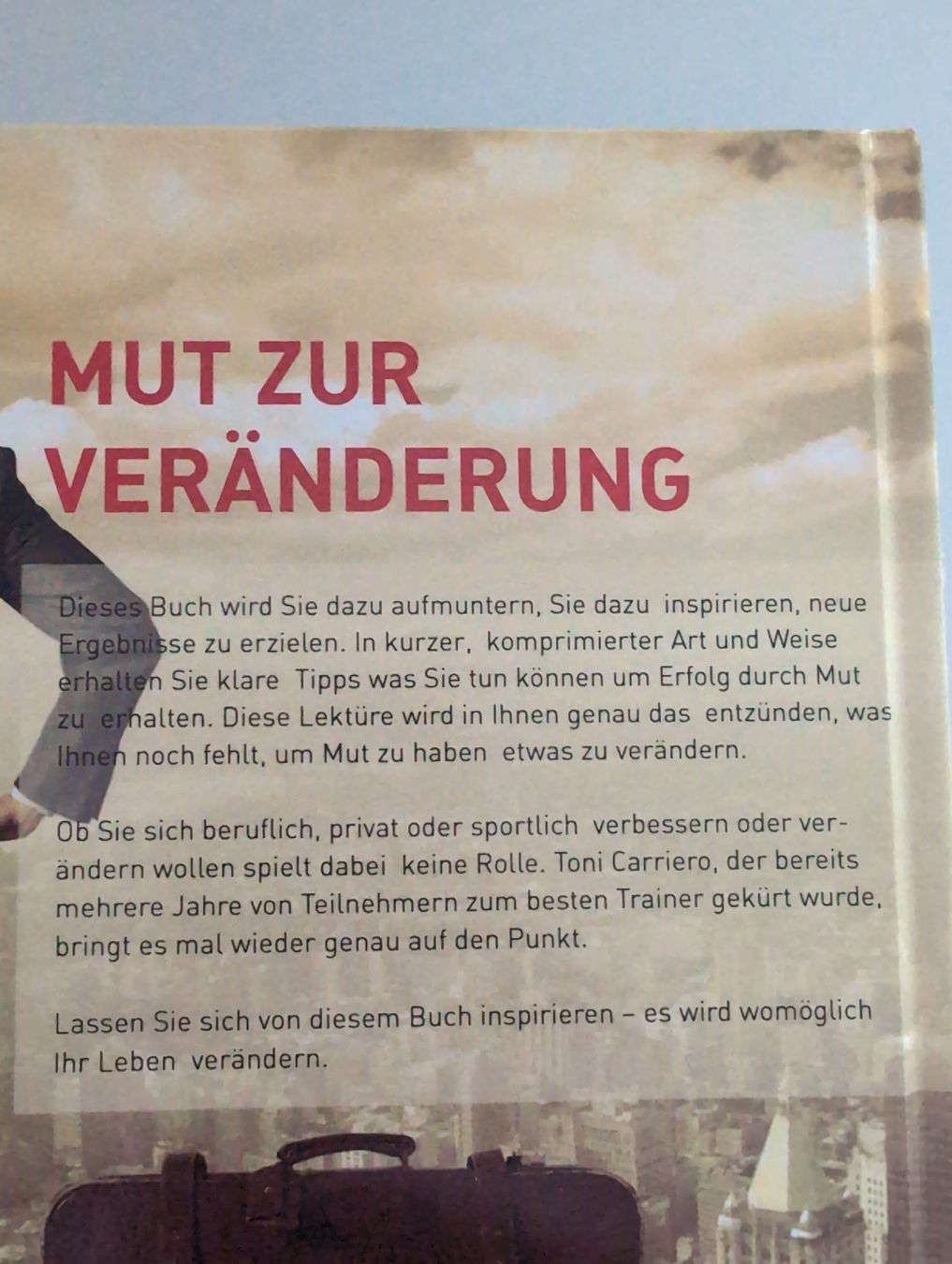 Libri: Mut zur Veränderung – Usato da Jona venduto da Schaniarle 1