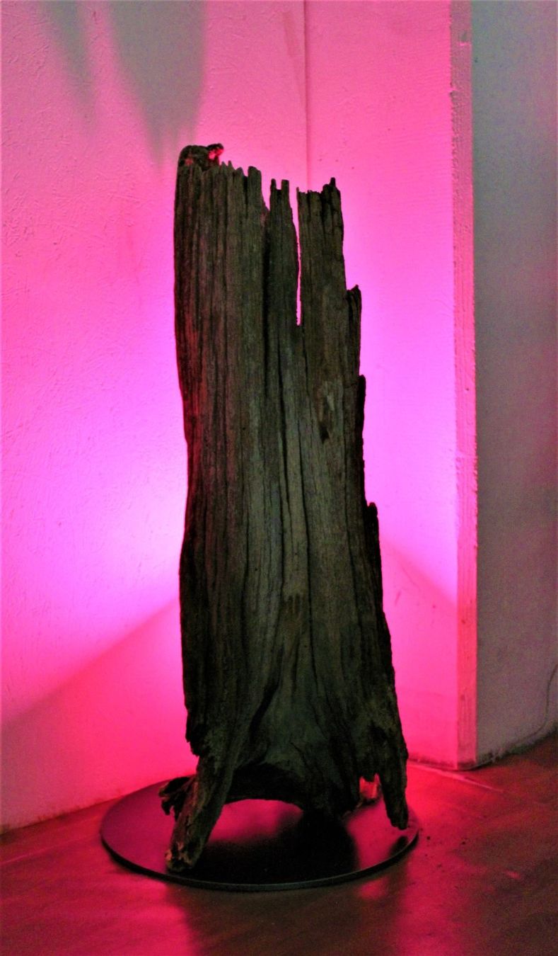 Lampade: Baumwurzel-Lampe. DEKO. – Usato da Trun venduto da artantic 4
