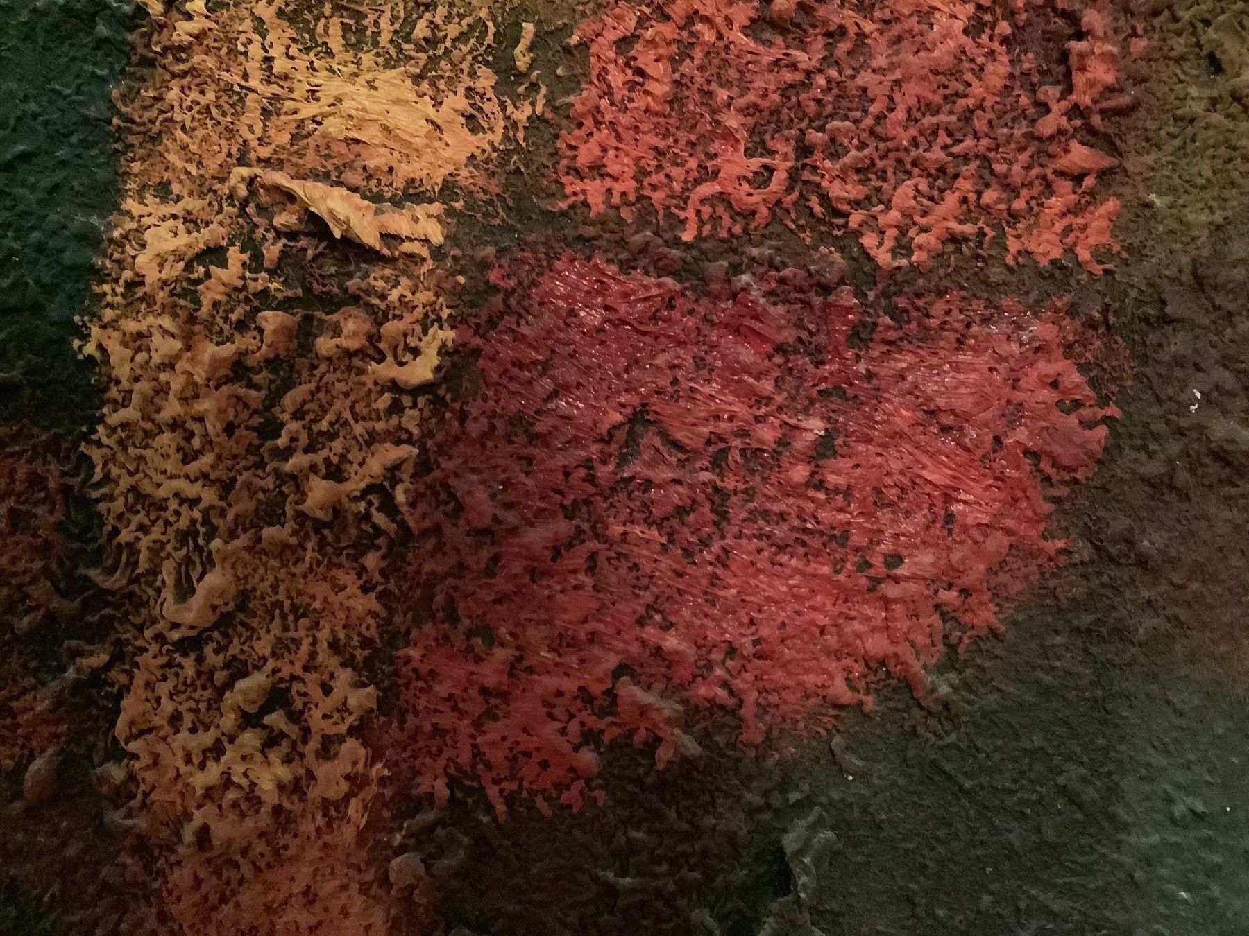 Tableaux: Ölbild Maler Emil Müller – D'occasion à Wallisellen par Lunajuanito 2