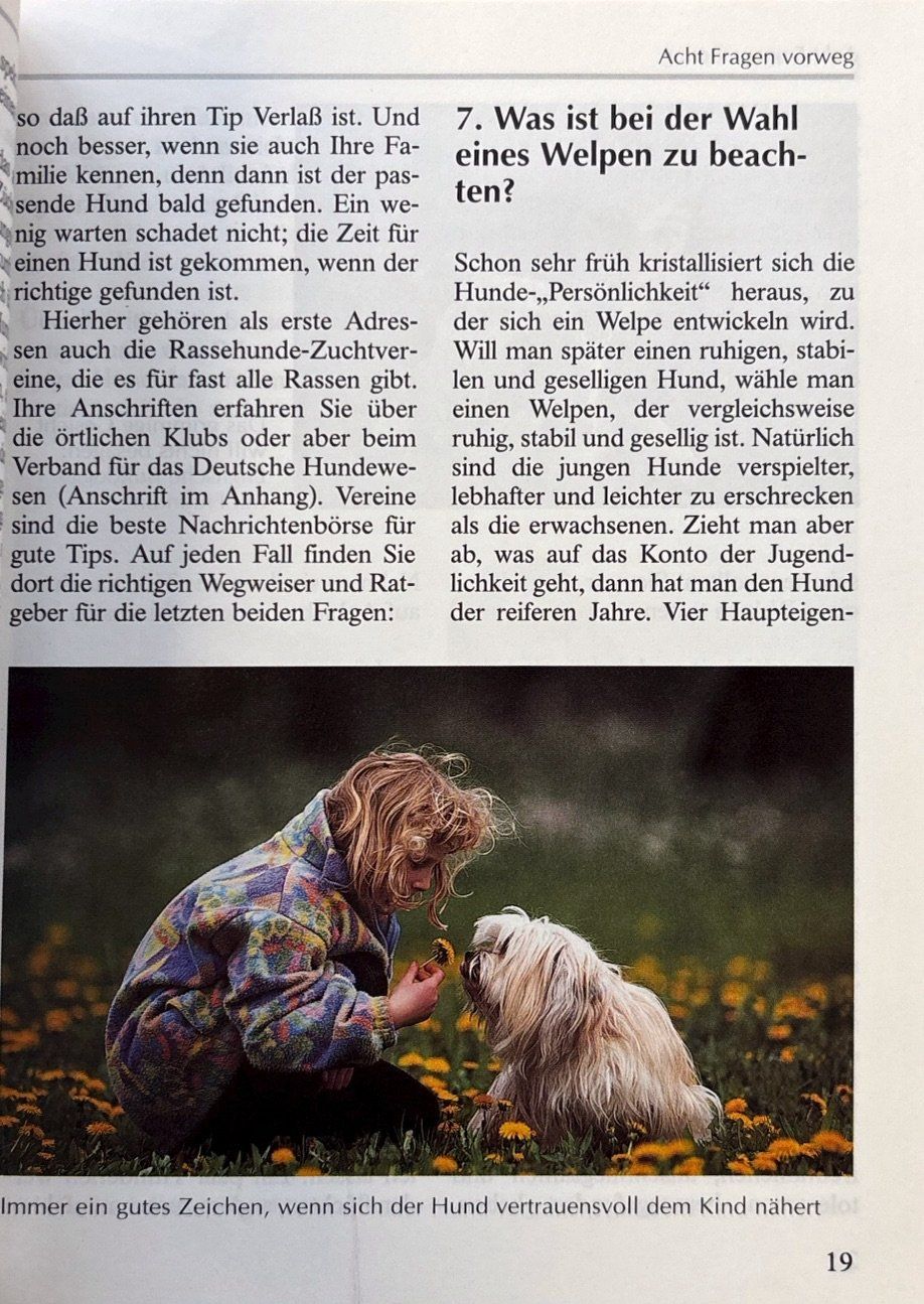 Libri: Der kindersichere Hund – Nuovo (secondo la descrizione) da Sarnen venduto da Livres 4