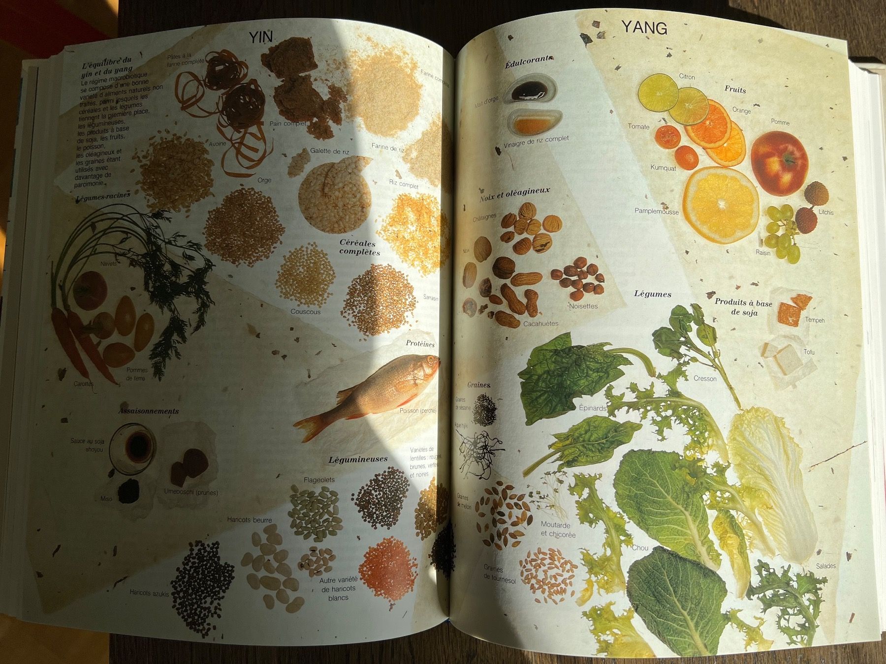 Bücher: Guide familial des Médecines alternatives, – Gebraucht aus Onex von mirza02 1
