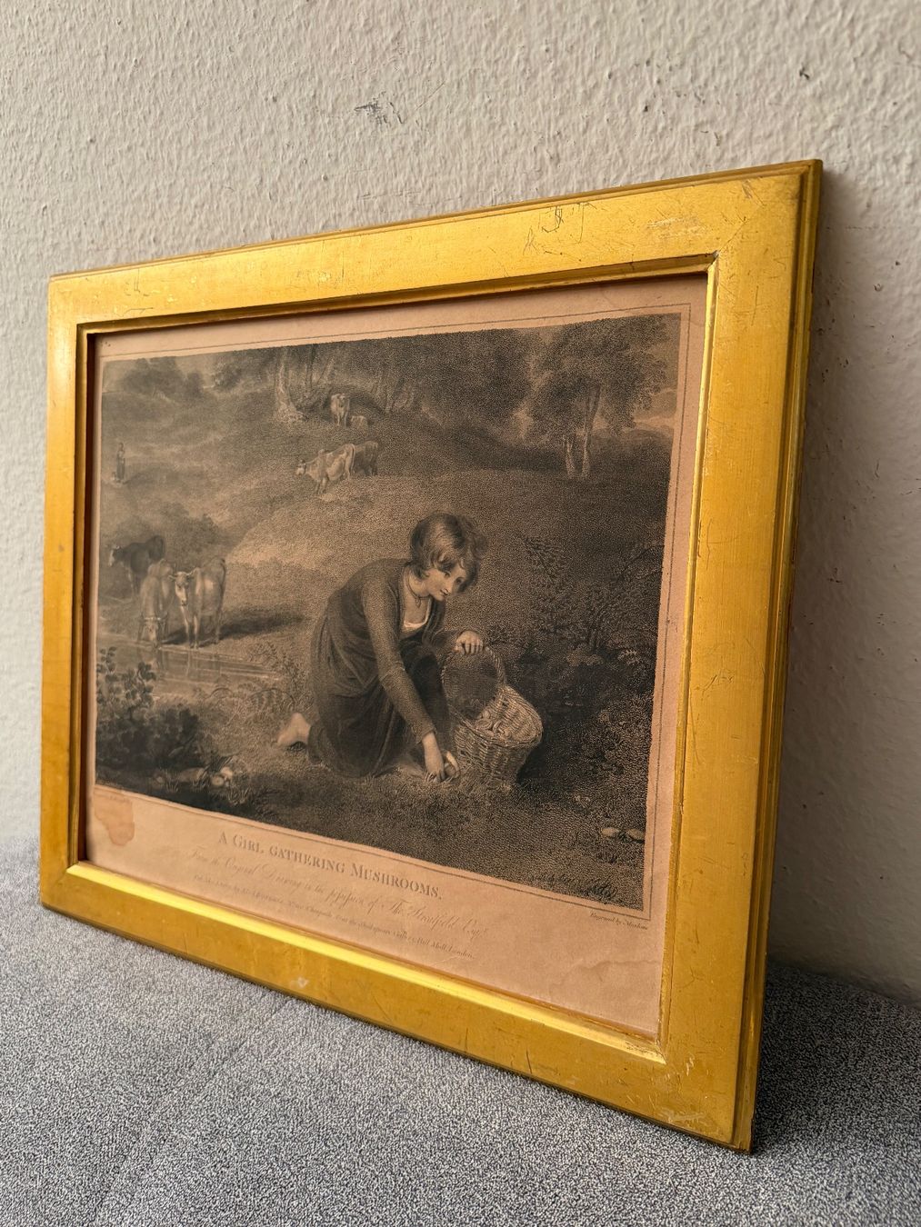 Dipinti: 1800 Gravur von Robert Mitchell Meadows British Museum – Usato da Basel venduto da PAUL_ART 5