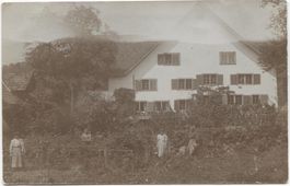 Landwirtschaft/Gärtnerei 1910 Wädenswil ZH?