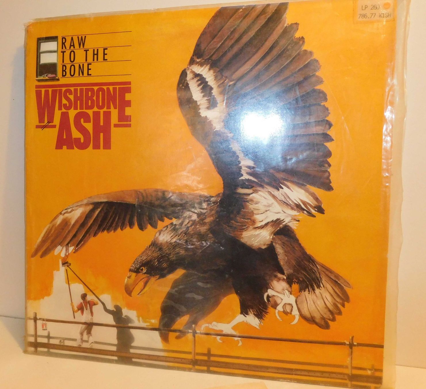 Dischi in vinile: Lp Wishbone Ash- 1984 LP Schallplatte – Usato da Sursee venduto da 76