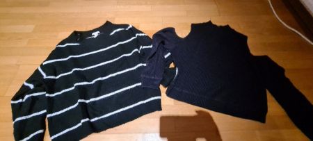 Pullis gr.L
